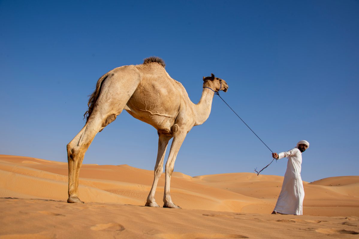 Desert Beauty Dressing Right for Your Dubai Desert Safari
